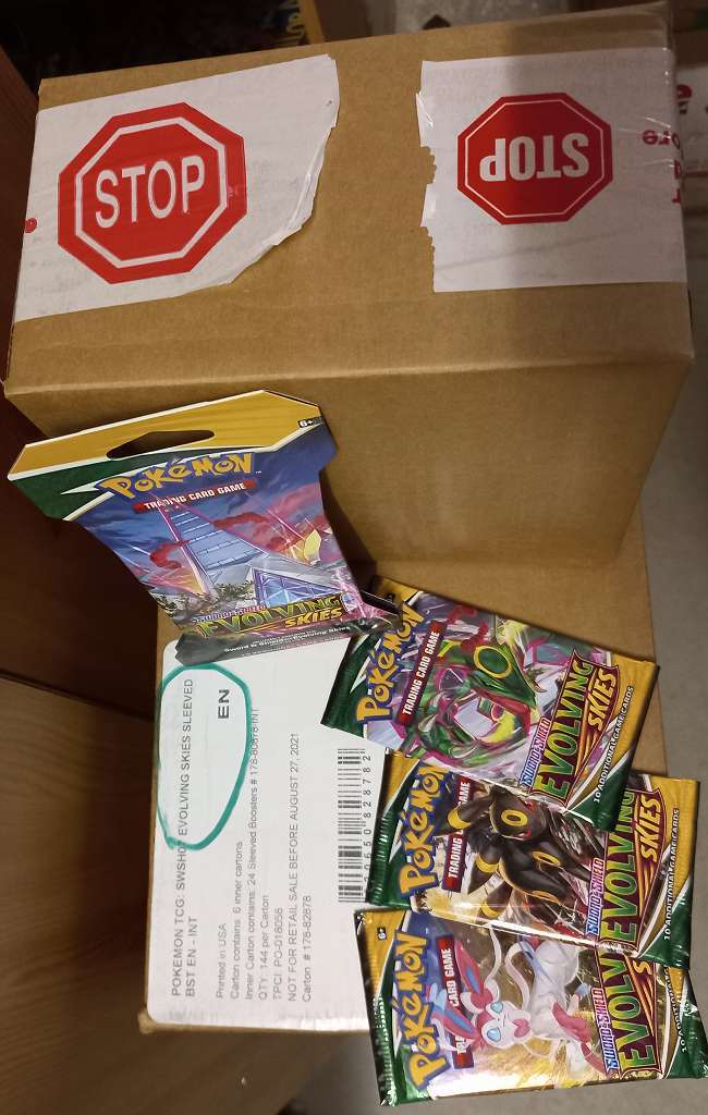 POKEMON 24 x Evolving Skies Sleeved Booster Case EN