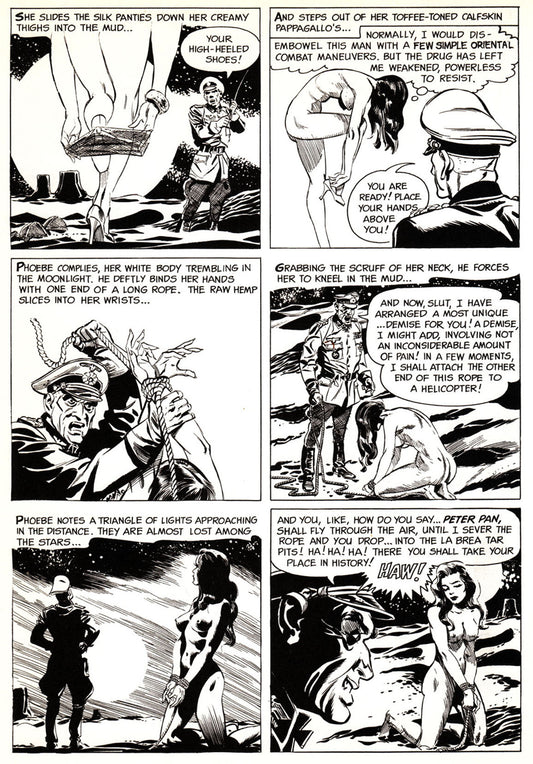 THE ADVENTURES OF PHOEBE ZEIT-GEIST (Grove Press, 1969) EN