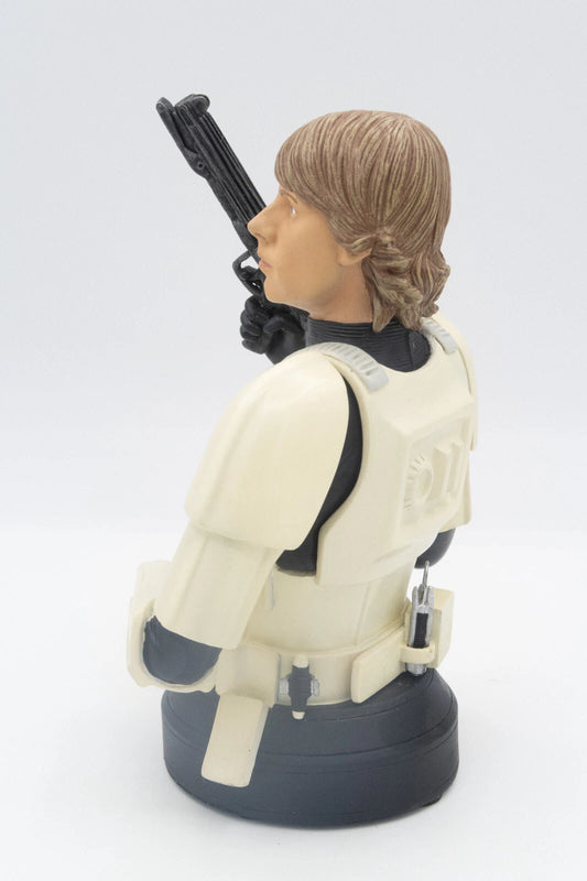 FIGUR Gentle Giant Star Wars Büste Luke Skywalker in Stormtrooper Disguise Limited