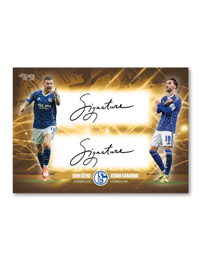 Fc Schalke 04 Trading Card Box Ein Leben Lang  Ultimate Drops Dropz
