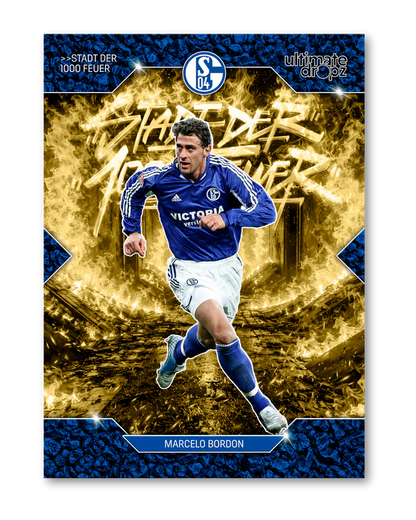 Fc Schalke 04 Trading Card Box Ein Leben Lang  Ultimate Drops Dropz